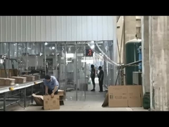 TAEMS robot system for carton (HUABAO)